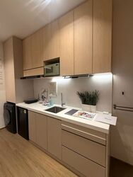 Joo Chiat Terrace (D15), Apartment #554989231